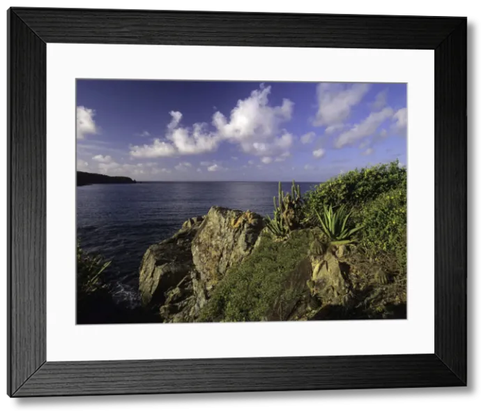 Framed Print : DDE-90027399 Framed Print : DDE-90027399