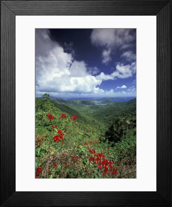 Framed Print : DDE-90027406 Framed Print : DDE-90027406