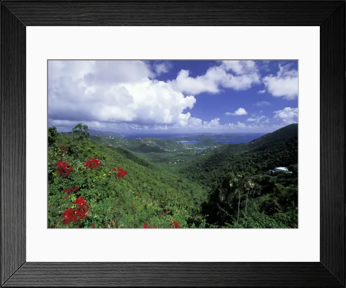 Framed Print : DDE-90027407 Framed Print : DDE-90027407