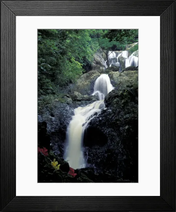 Framed Print : DDE-90027411 Framed Print : DDE-90027411
