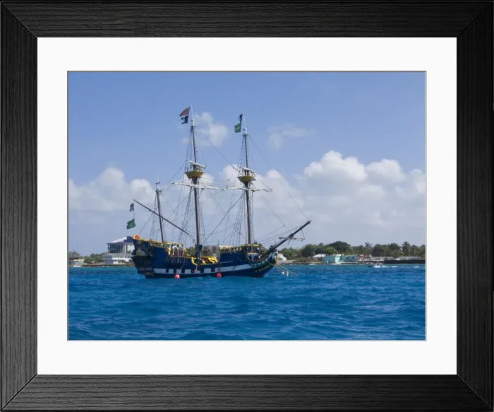 Framed Print : DDE-90027418