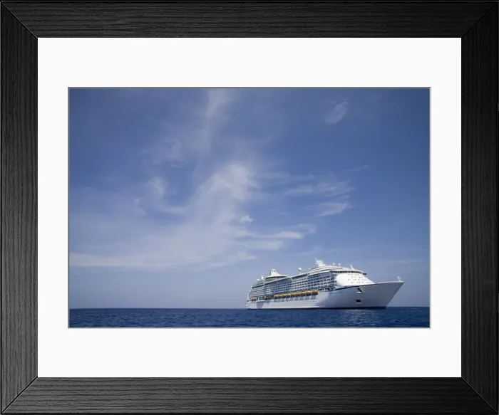 Framed Print : DDE-90027424