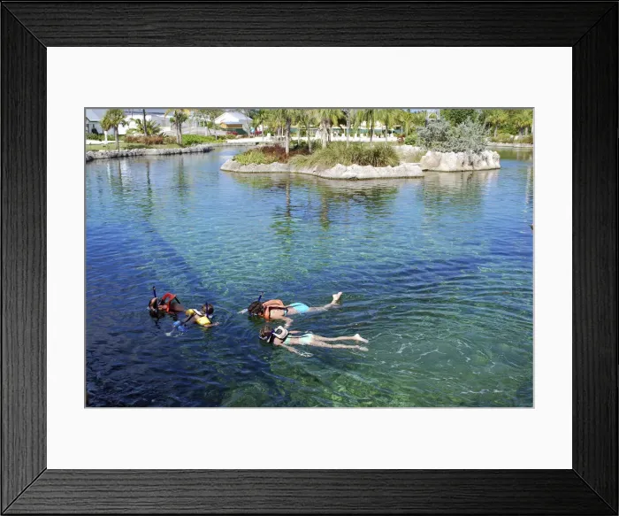Framed Print : DDE-90027422 Framed Print : DDE-90027422