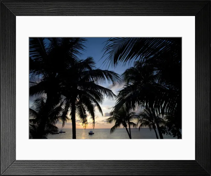 Framed Print : DDE-90027428 Framed Print : DDE-90027428