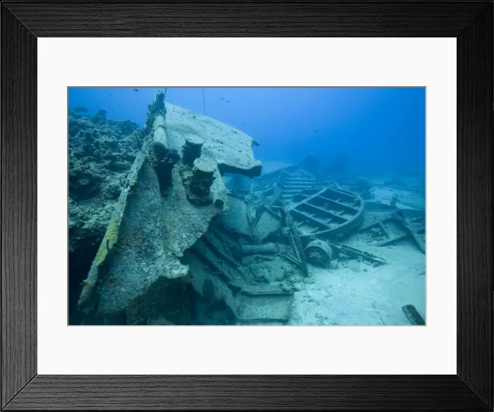 Framed Print : DDE-90027448 Framed Print : DDE-90027448
