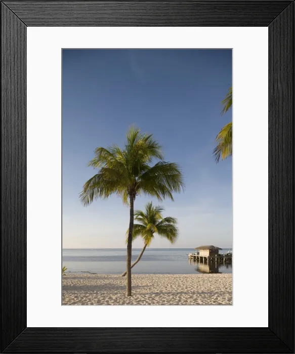 Framed Print : DDE-90027453 Framed Print : DDE-90027453
