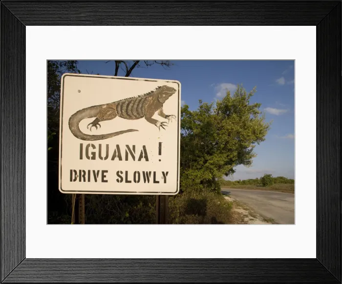 Framed Print : DDE-90027450 Framed Print : DDE-90027450