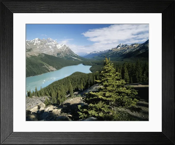 Framed Print : DDE-90027484 Framed Print : DDE-90027484