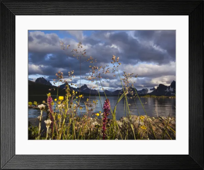Framed Print : DDE-90027491 Framed Print : DDE-90027491
