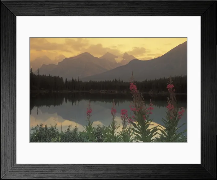 Framed Print : DDE-90027494