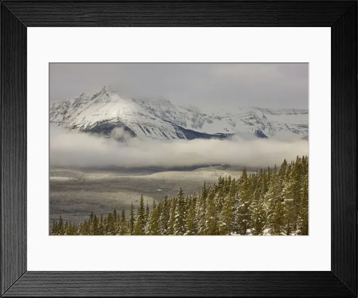 Framed Print : DDE-90027497 Framed Print : DDE-90027497