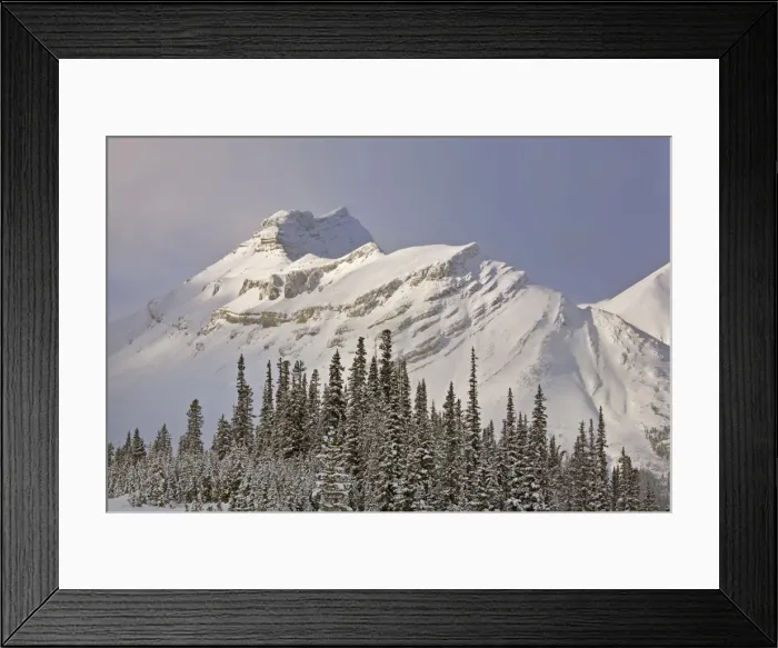 Framed Print : DDE-90027498 Framed Print : DDE-90027498