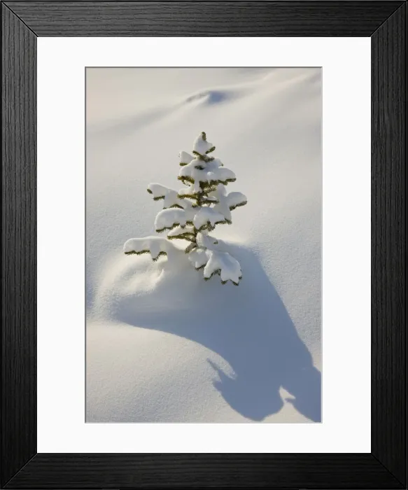 Framed Print : DDE-90027501 Framed Print : DDE-90027501