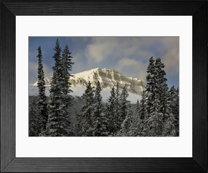 Framed Print : DDE-90027499 Framed Print : DDE-90027499