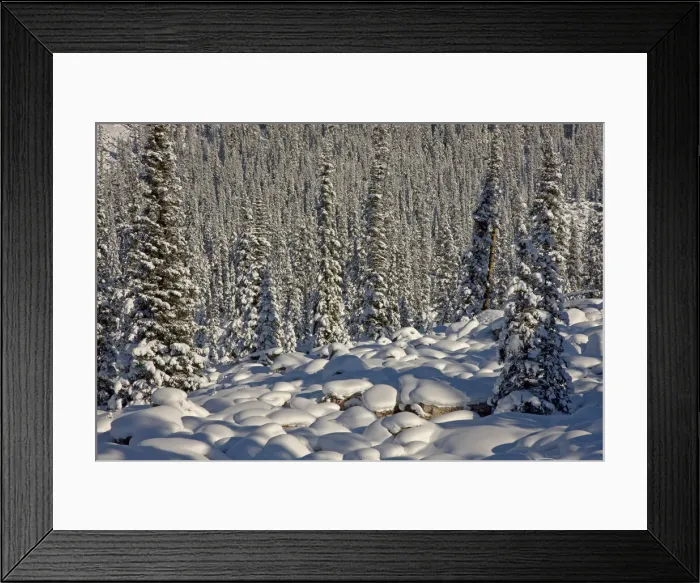 Framed Print : DDE-90027502 Framed Print : DDE-90027502