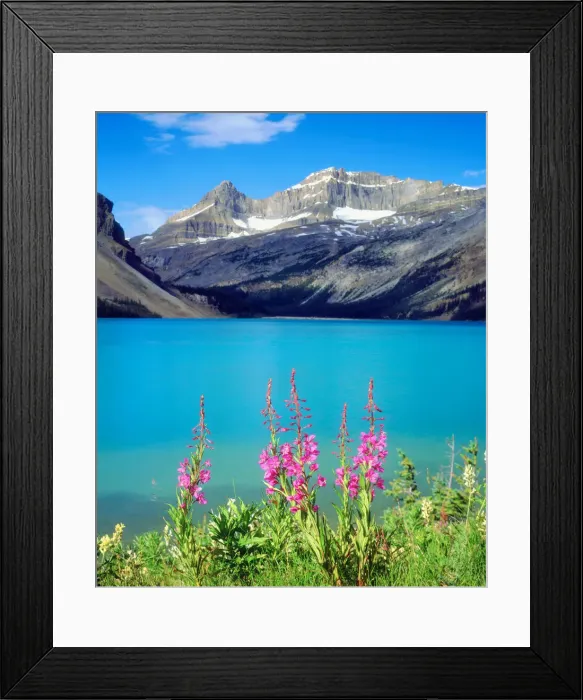 Framed Print : DDE-90027508 Framed Print : DDE-90027508