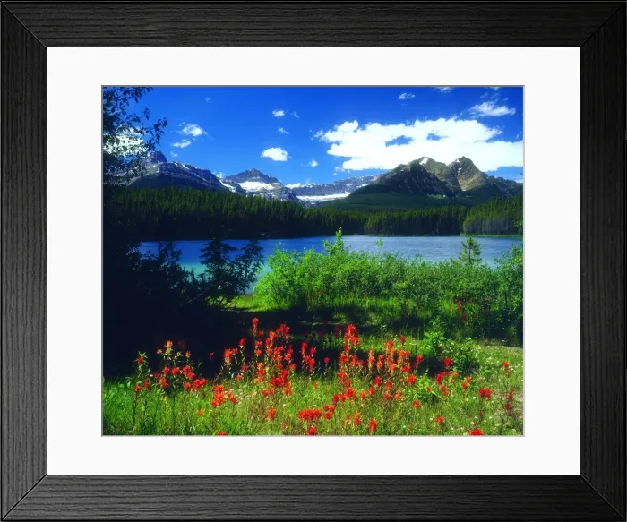 Framed Print : DDE-90027509 Framed Print : DDE-90027509