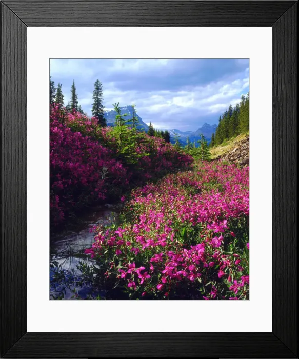 Framed Print : DDE-90027512 Framed Print : DDE-90027512