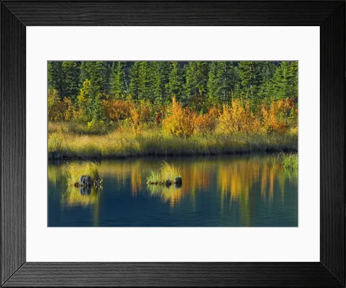 Framed Print : DDE-90027517 Framed Print : DDE-90027517