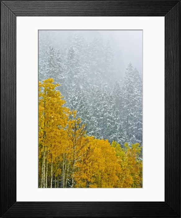 Framed Print : DDE-90027518 Framed Print : DDE-90027518