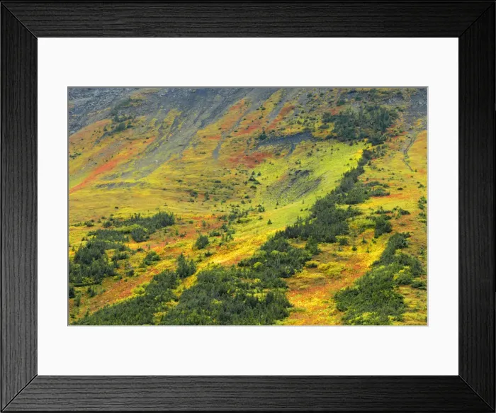 Framed Print : DDE-90027520 Framed Print : DDE-90027520