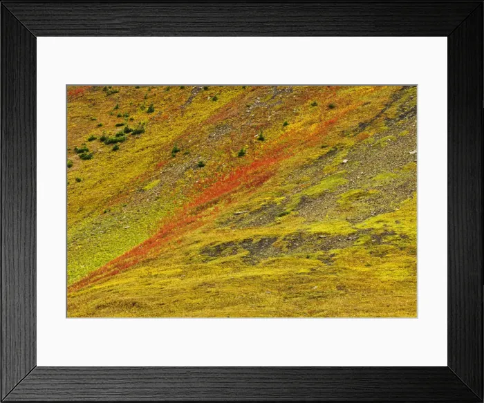 Framed Print : DDE-90027521