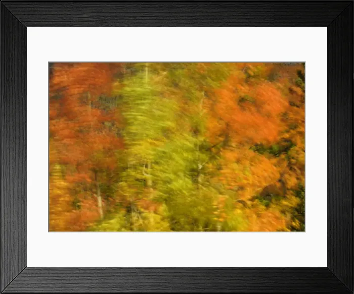 Framed Print : DDE-90027523 Framed Print : DDE-90027523
