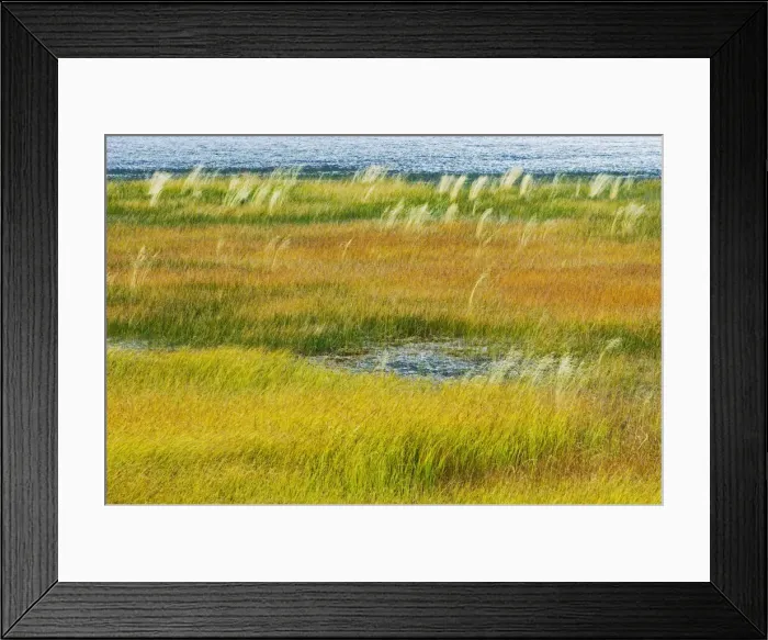 Framed Print : DDE-90027527 Framed Print : DDE-90027527
