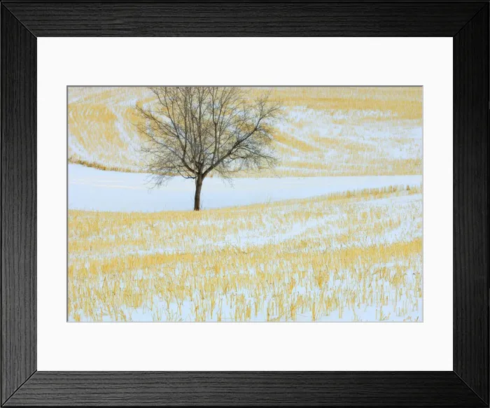 Framed Print : DDE-90027528 Framed Print : DDE-90027528