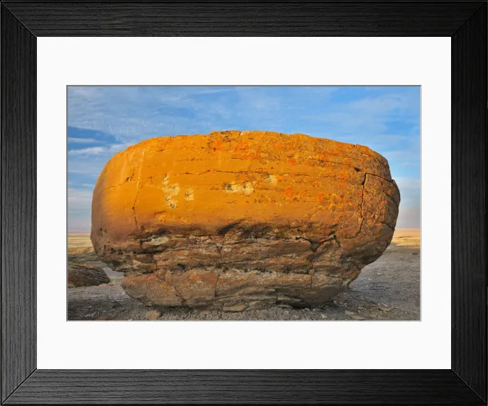 Framed Print : DDE-90027531 Framed Print : DDE-90027531