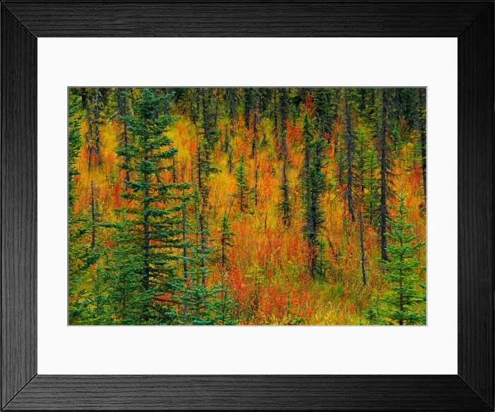 Framed Print : DDE-90027535 Framed Print : DDE-90027535