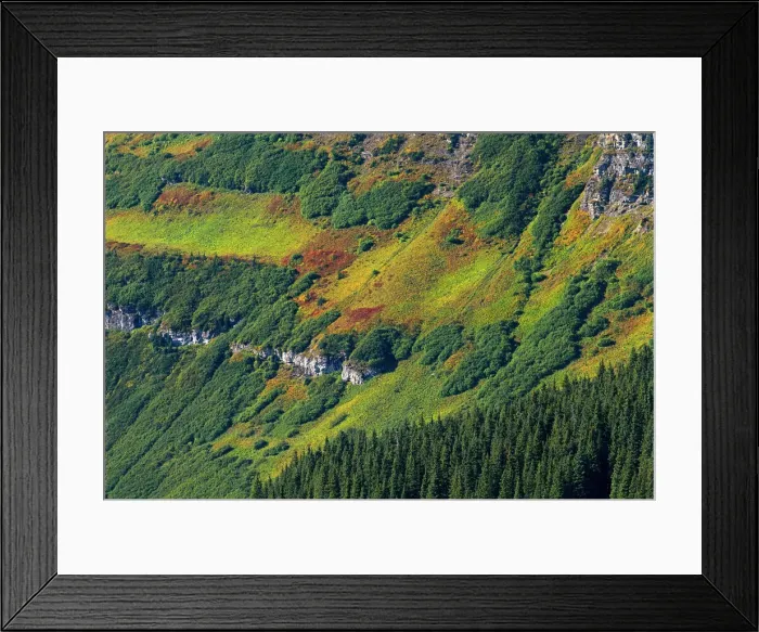 Framed Print : DDE-90027536 Framed Print : DDE-90027536