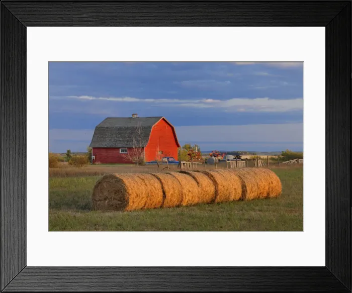 Framed Print : DDE-90027541 Framed Print : DDE-90027541