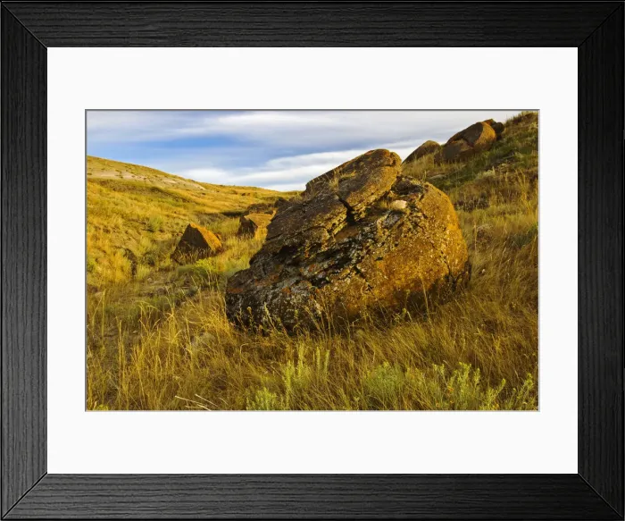 Framed Print : DDE-90027545 Framed Print : DDE-90027545