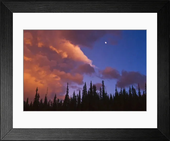 Framed Print : DDE-90027546 Framed Print : DDE-90027546