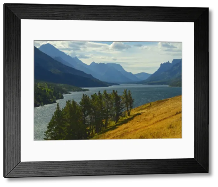 Framed Print : DDE-90027548 Framed Print : DDE-90027548
