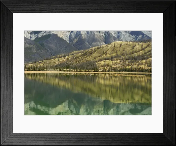 Framed Print : DDE-90027552