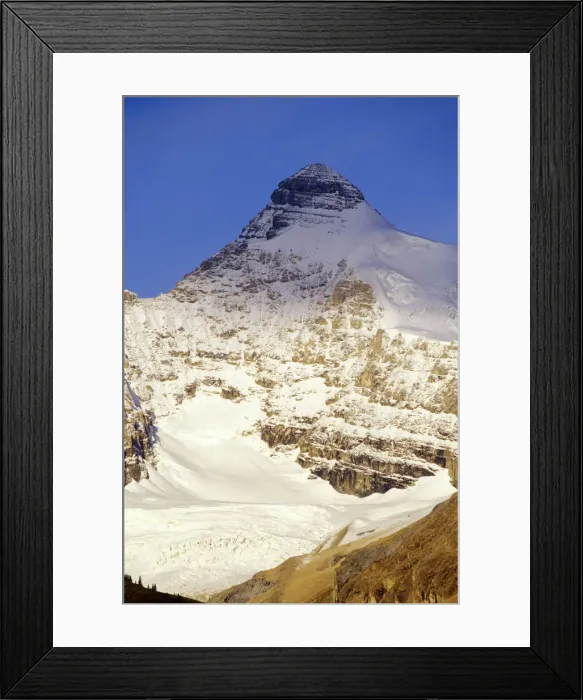 Framed Print : DDE-90027565