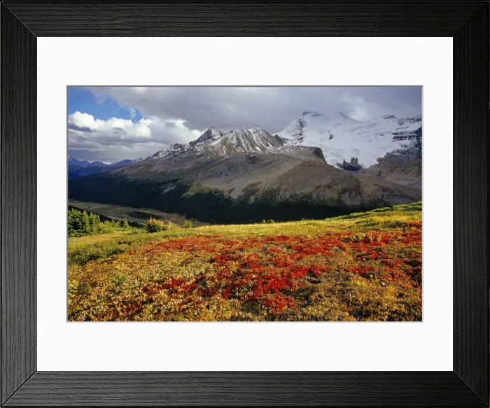 Framed Print : DDE-90027564 Framed Print : DDE-90027564