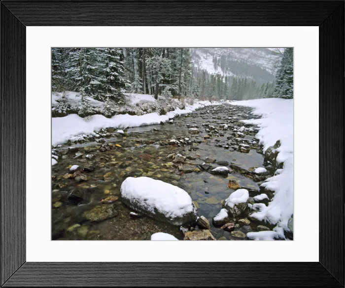 Framed Print : DDE-90027568 Framed Print : DDE-90027568