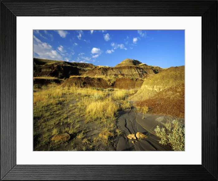Framed Print : DDE-90027575 Framed Print : DDE-90027575