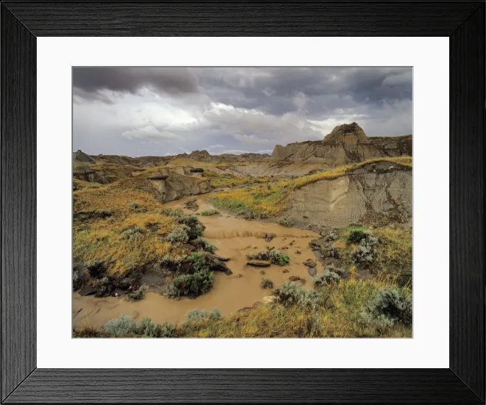 Framed Print : DDE-90027576 Framed Print : DDE-90027576