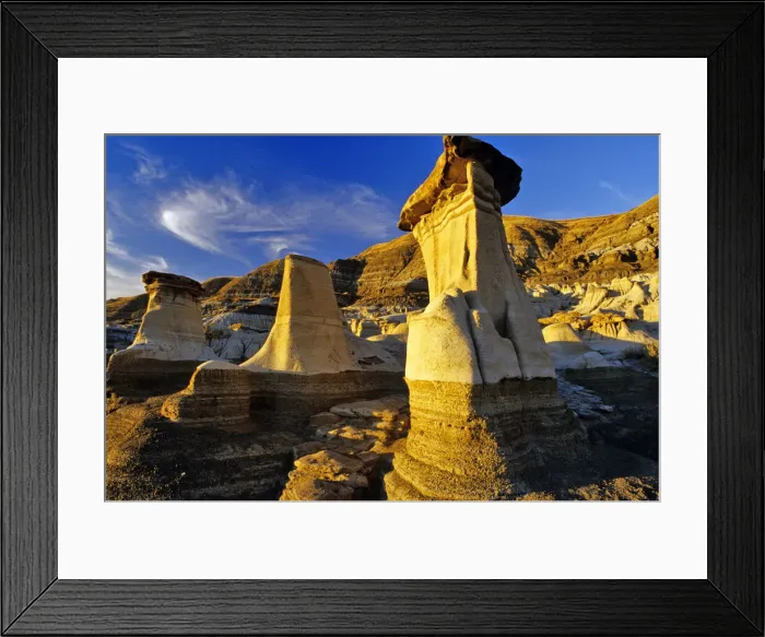 Framed Print : DDE-90027578