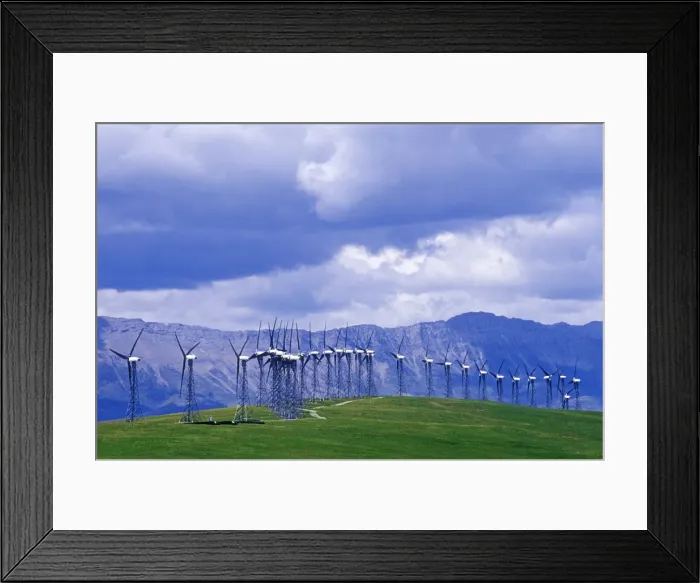 Framed Print : DDE-90027585 Framed Print : DDE-90027585