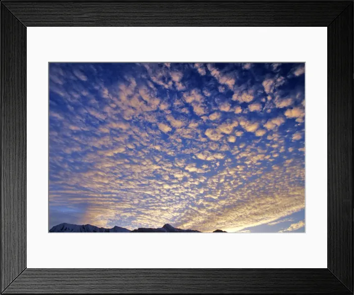 Framed Print : DDE-90027586 Framed Print : DDE-90027586