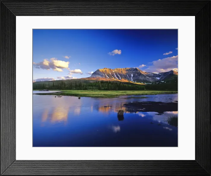 Framed Print : DDE-90027588