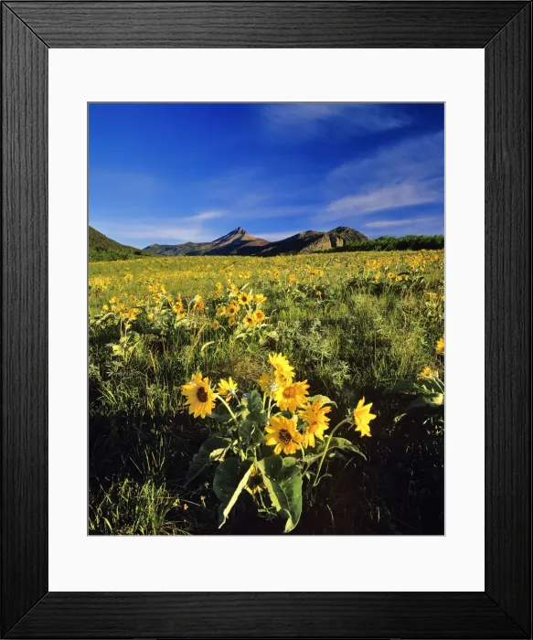 Framed Print : DDE-90027589 Framed Print : DDE-90027589