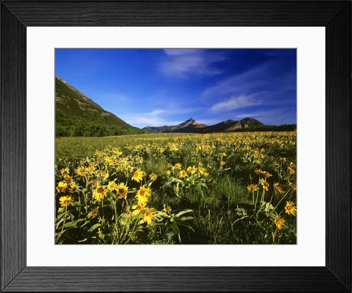 Framed Print : DDE-90027601 Framed Print : DDE-90027601