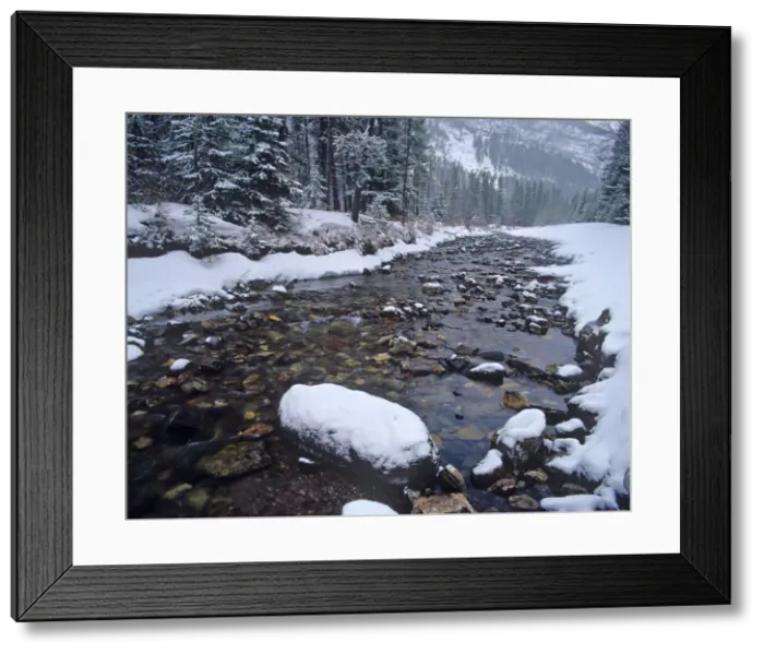 Framed Print : DDE-90027605 Framed Print : DDE-90027605