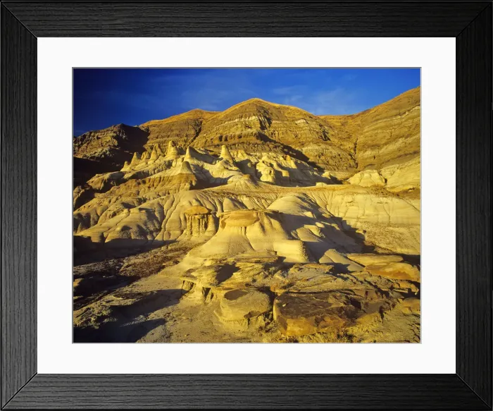 Framed Print : DDE-90027611 Framed Print : DDE-90027611